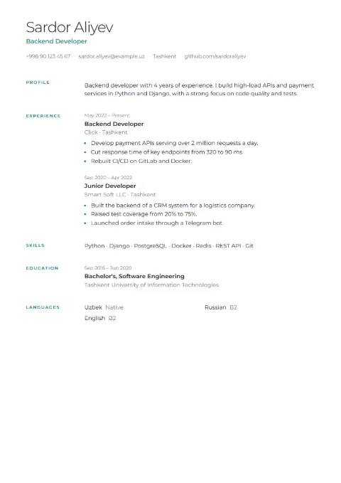 Software developer CV example