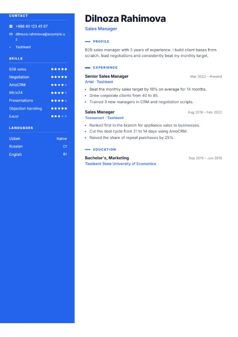 Sales manager CV example